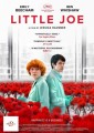 Little Joe