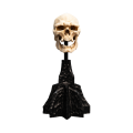 The Lord Of The Rings - Skull Of A Mordor Orc (Statue)