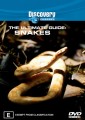 Ultimate Guide - Snakes
