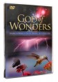 God Of Wonders