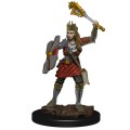Icons Of The Realms Human Cleric Female Premium Figure (Vinyl Figure)