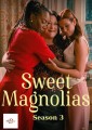 Sweet Magnolias - Complete Season 3