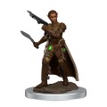 Dungeons & Dragons - Icons Of The Realms Premium Female Shifter Rogue (Action Figure)