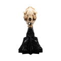 The Lord Of The Rings - Skull Of A Warg (Statue)