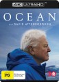 Ocean With David Attenborough (4K Ultra HD)