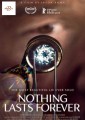 Nothing Lasts Forever