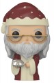 Harry Potter - Dumbledore Holiday (Pop! Vinyl)