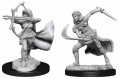 Dungeons And Dragons - Nolzurs Marvelous Unpainted Minis: Air Genasi Female (Miniature Figure)