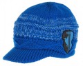Harry Potter - Ravenclaw Knit Brim Cap