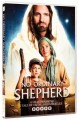 No Ordinary Shepherd