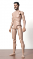 DIY - 1:6 Scale Original Body (Action Figure)
