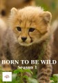 Born To Be Wild: Complete Season 1