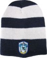 Harry Potter - Ravenclaw Slouch Beanie