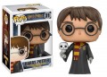 Harry Potter - Harry With Hedwig Pop (Pop! Vinyl)