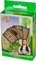 Wizard Of Oz - Deck (Playing Cards)
