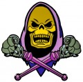 Masters Of The Universe - Skeletor Enamel Pin