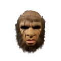 Hammer Horror - Frankenstein And The Monster From Hell (Mask)