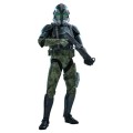 Star Wars - Clone Commander Gree 1:6 Scale (Action Figure)