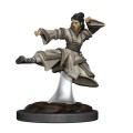 Icons Of The Realms Human Monk Female Premium Figure (Vinyl Figure)
