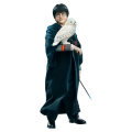 Harry Potter - Harry (Child) 12" (Action Figure)