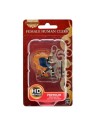 Pathfinder - Human Cleric Female Premium Figure (Statue)