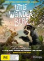 Little Wonder Bear
