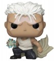 Fullmetal Alchemist: Brotherhood - Scar (Pop! Vinyl)