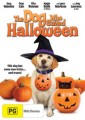 Dog Who Saved Halloween